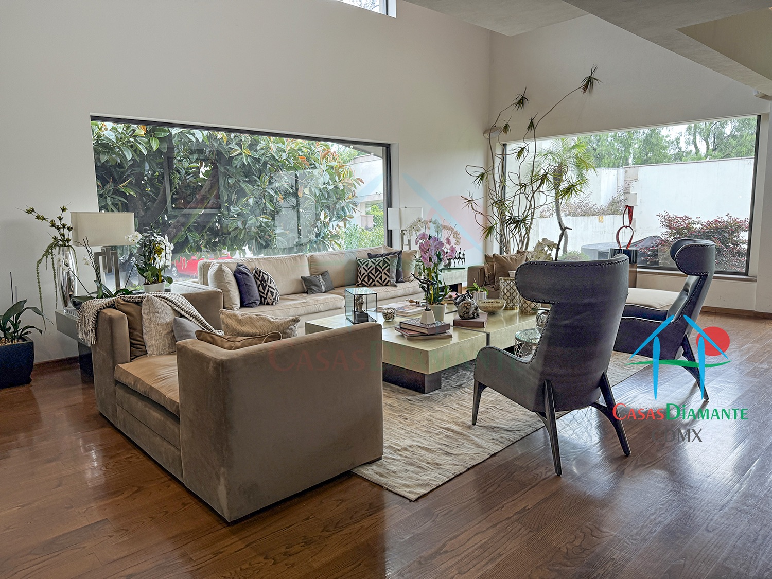 Jardines del Pedregal Casa Árbol B - Sala 3